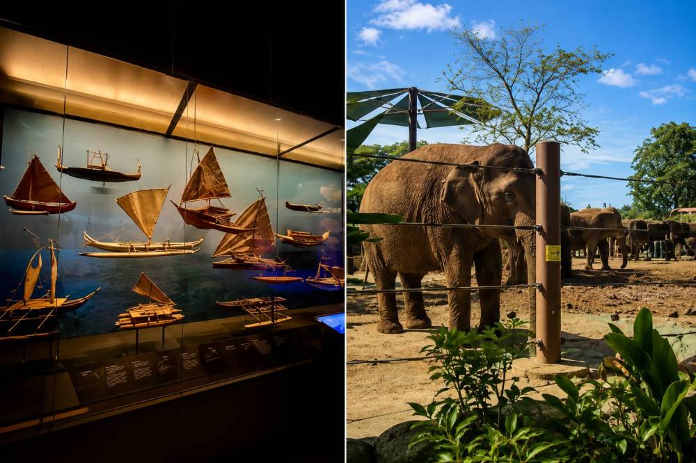 Split image: boat models display on left; elephants in enclosure on right.