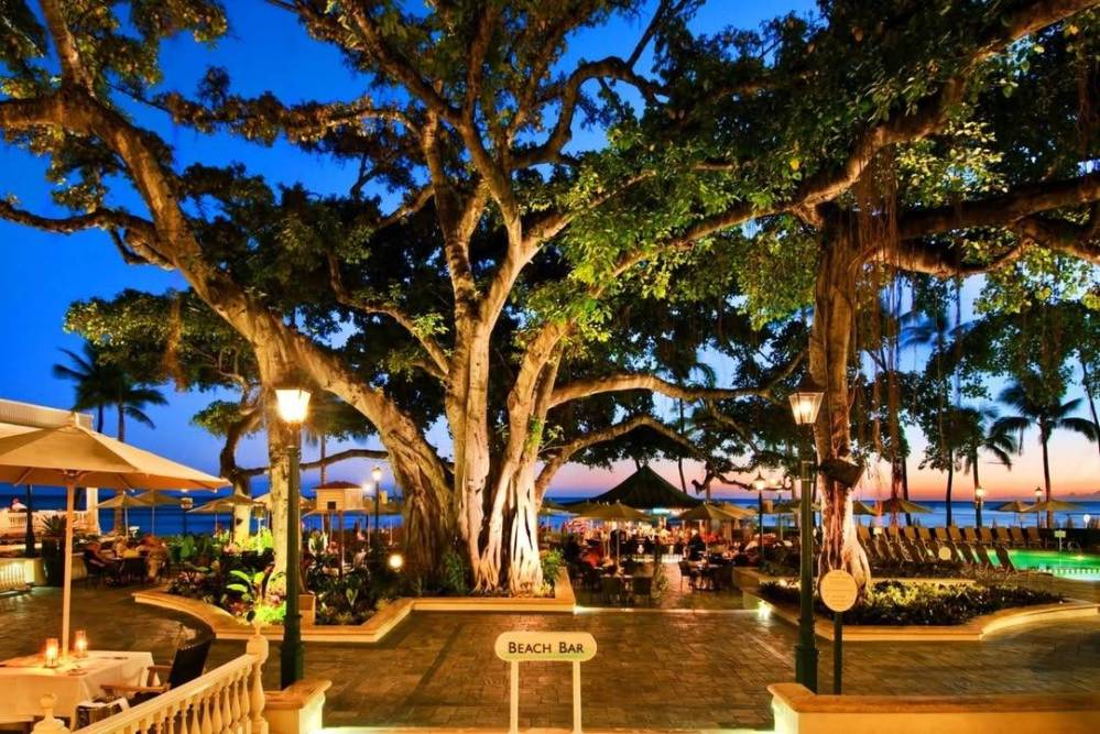Outdoor bar with tables under large tree, surrounded by lanterns at sunset.