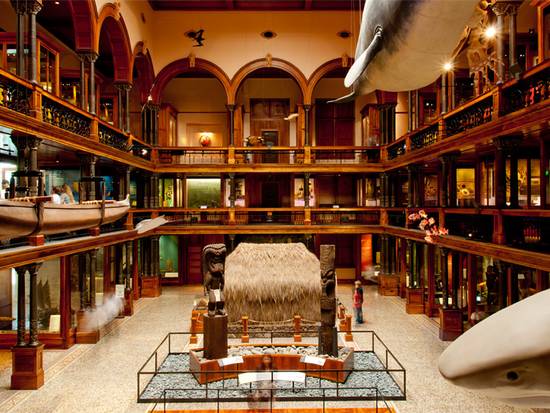 Museum interior with high ceilings, arches, and a suspended whale model.
