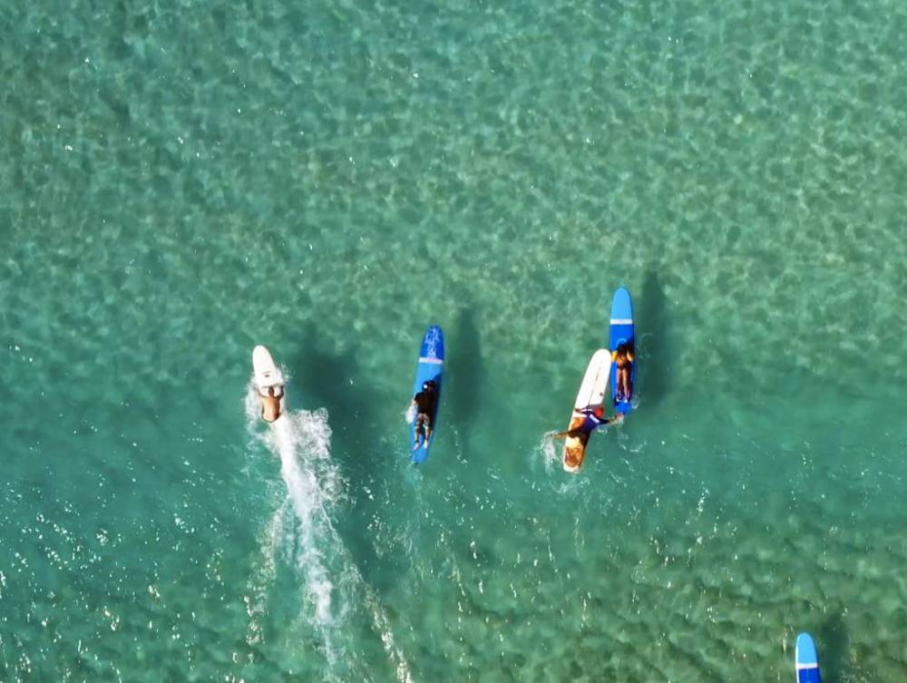 Four surfers paddling on surfboards in clear turquoise water, aerial view.