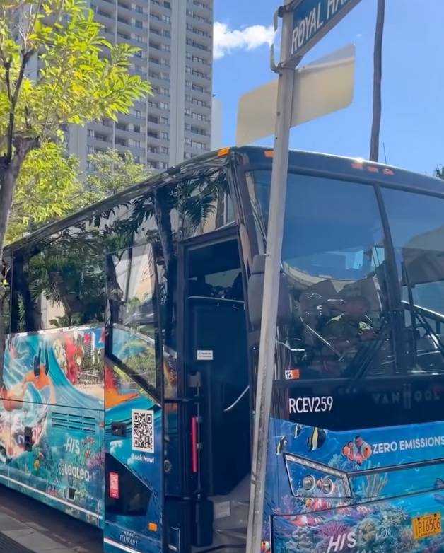 Colorful city bus with aquatic-themed graphics, parked under a street sign.