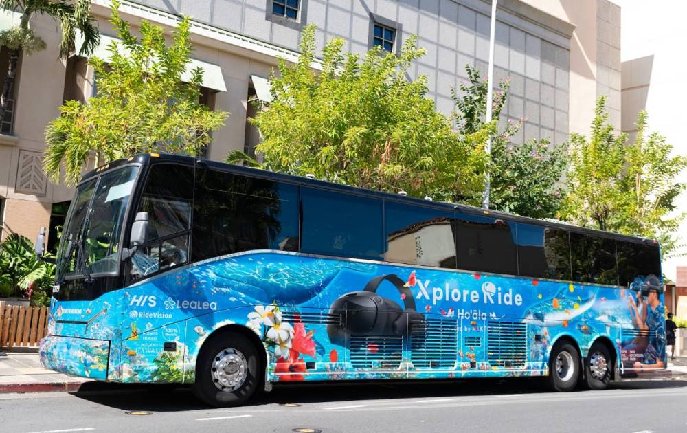 Tour bus with ocean-themed design parked on a street.