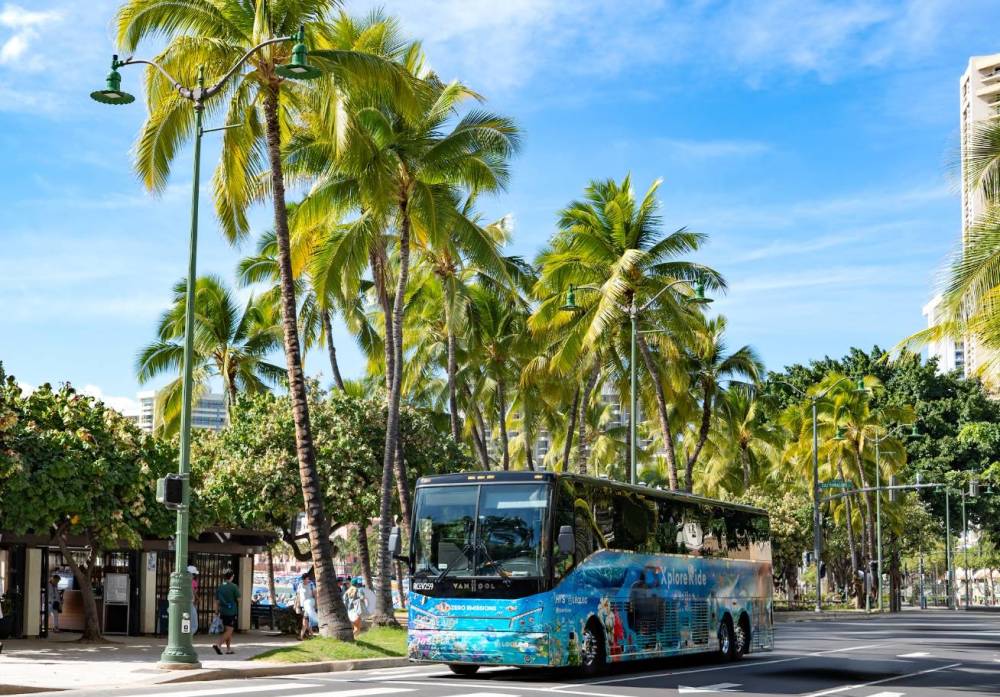 A scenic tour bus drives past palm trees on a sunny day.