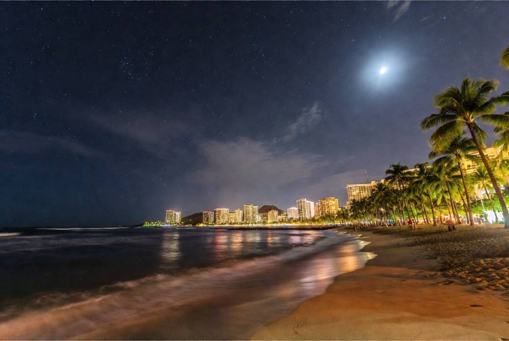 Night beach scene with city lights, palm trees, starry sky, and moon.