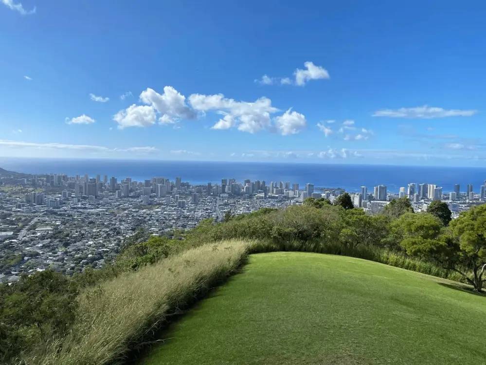 Cityscape and ocean view from a grassy hill under a blue sky.