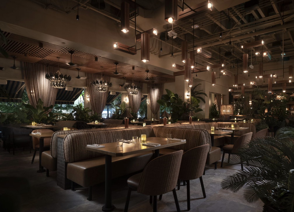 After the Ride: Best Walkable Food & Drink Spots Near XploreRide in Waikiki